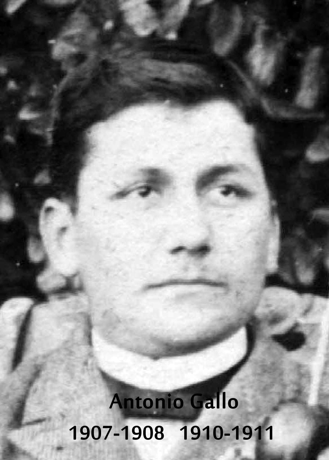 ANTONIO GALLO