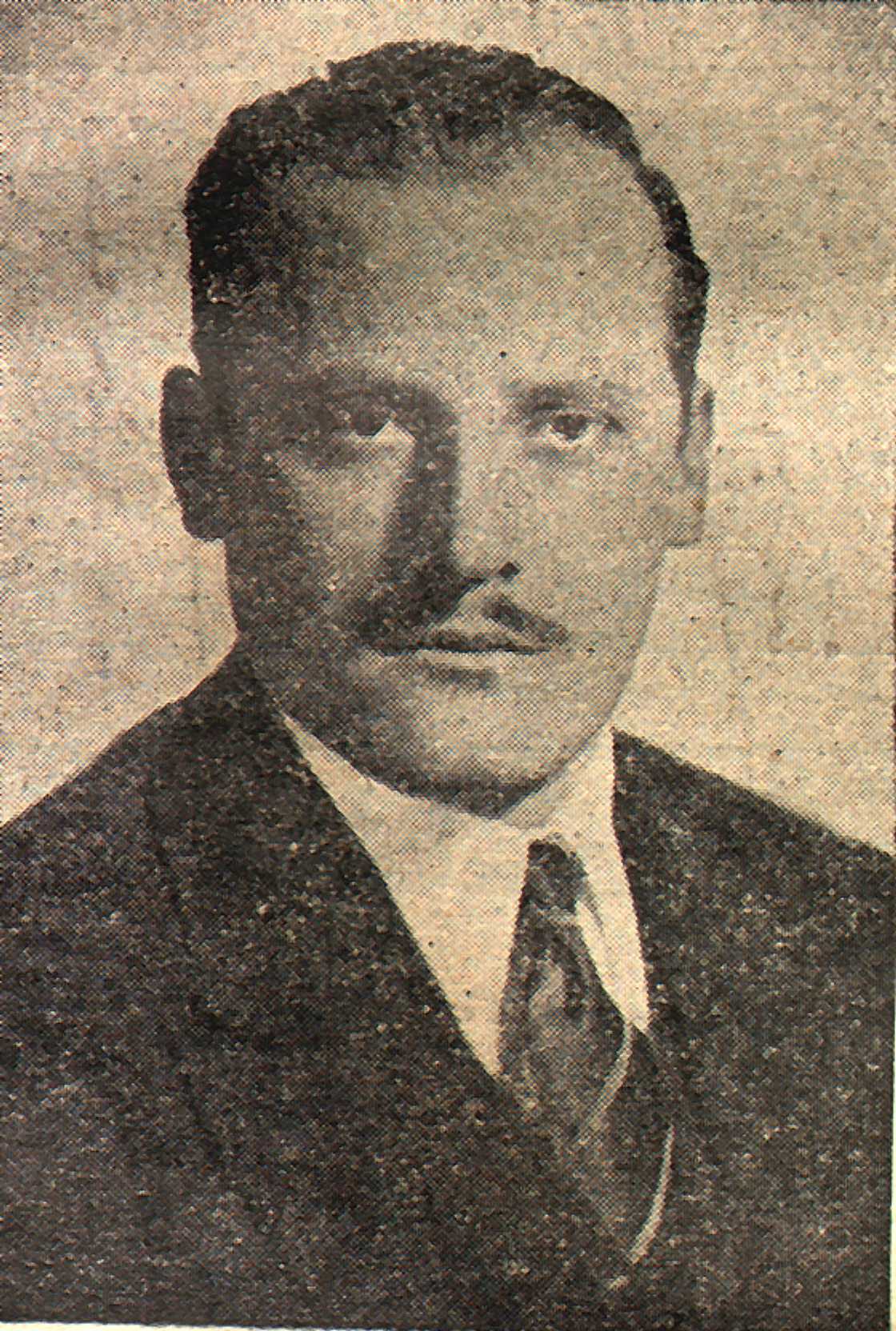 DIPUTADOS SENADORES DE ADOLFO ALSINA 