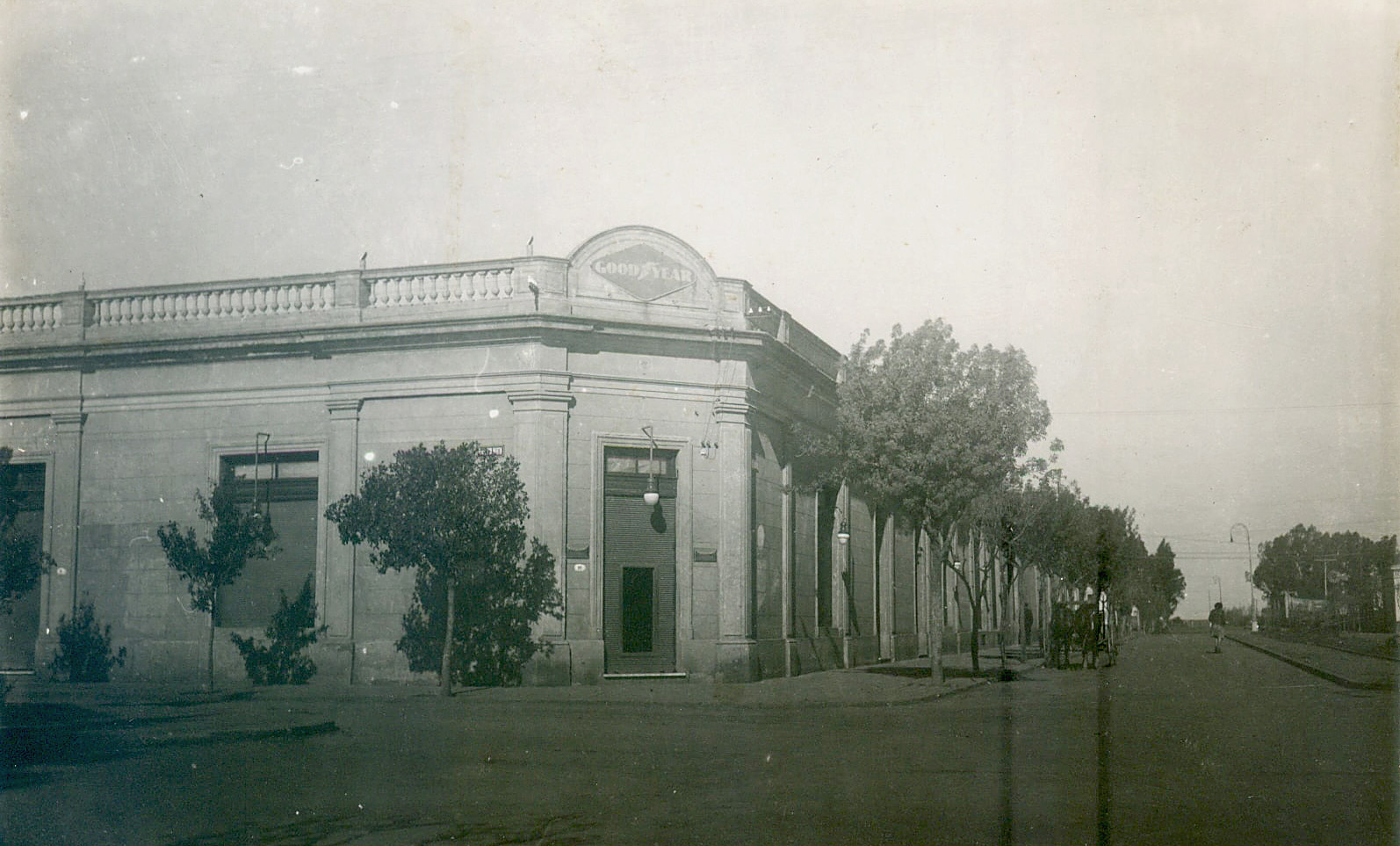 COOPERATIVA AGRICOLA GANADERA ADOLFO ALSINA CARHUE TORROBA