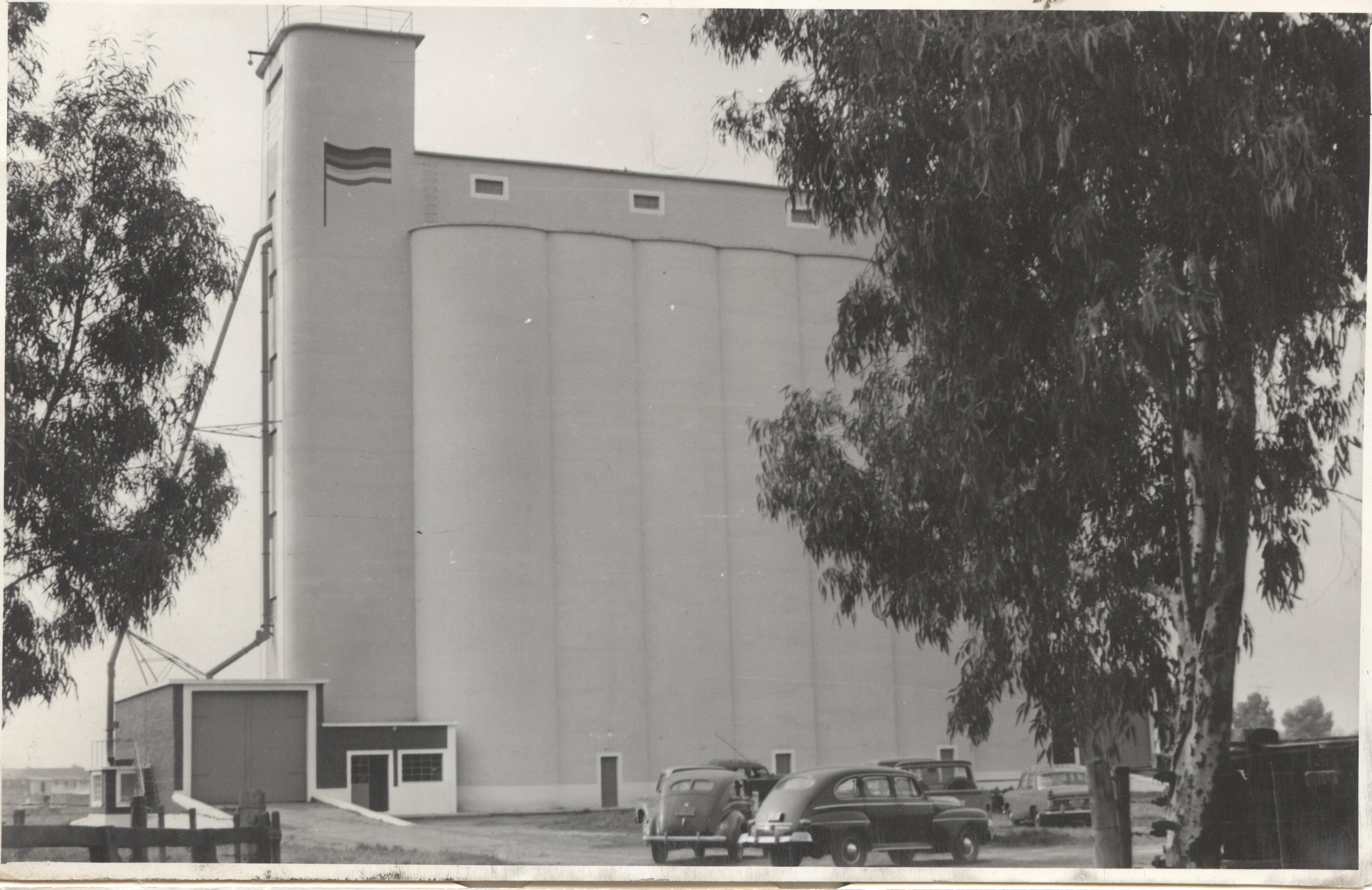 COOPERATIVA AGRICOLA GANADERA ADOLFO ALSINA CARHUE SILOS