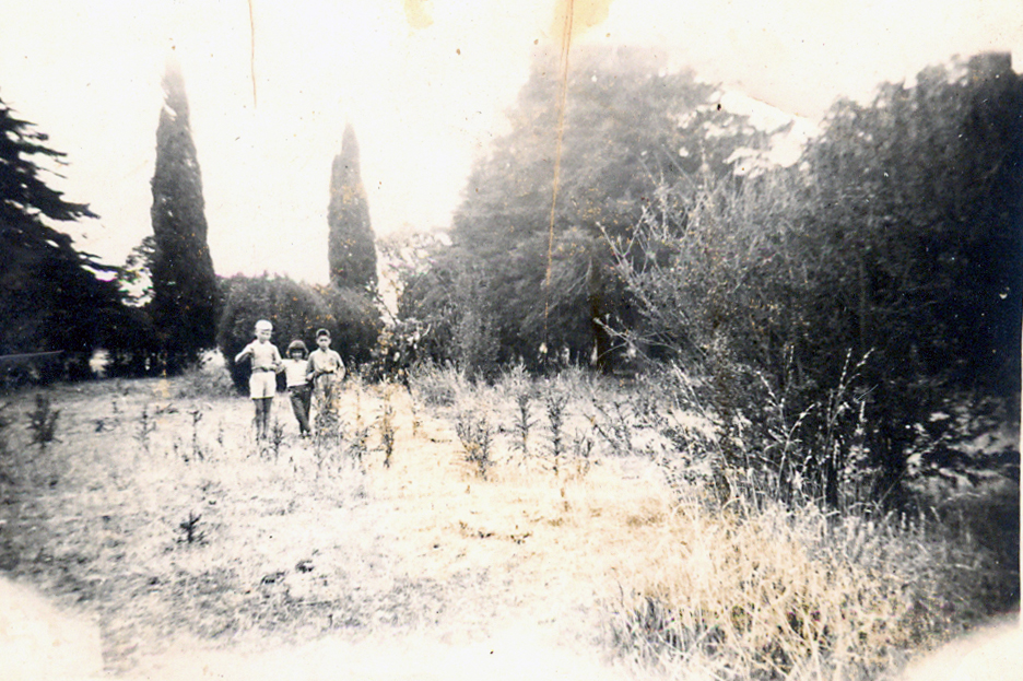 1960 Don Capintini, Encargado del Vivero municipal carhue