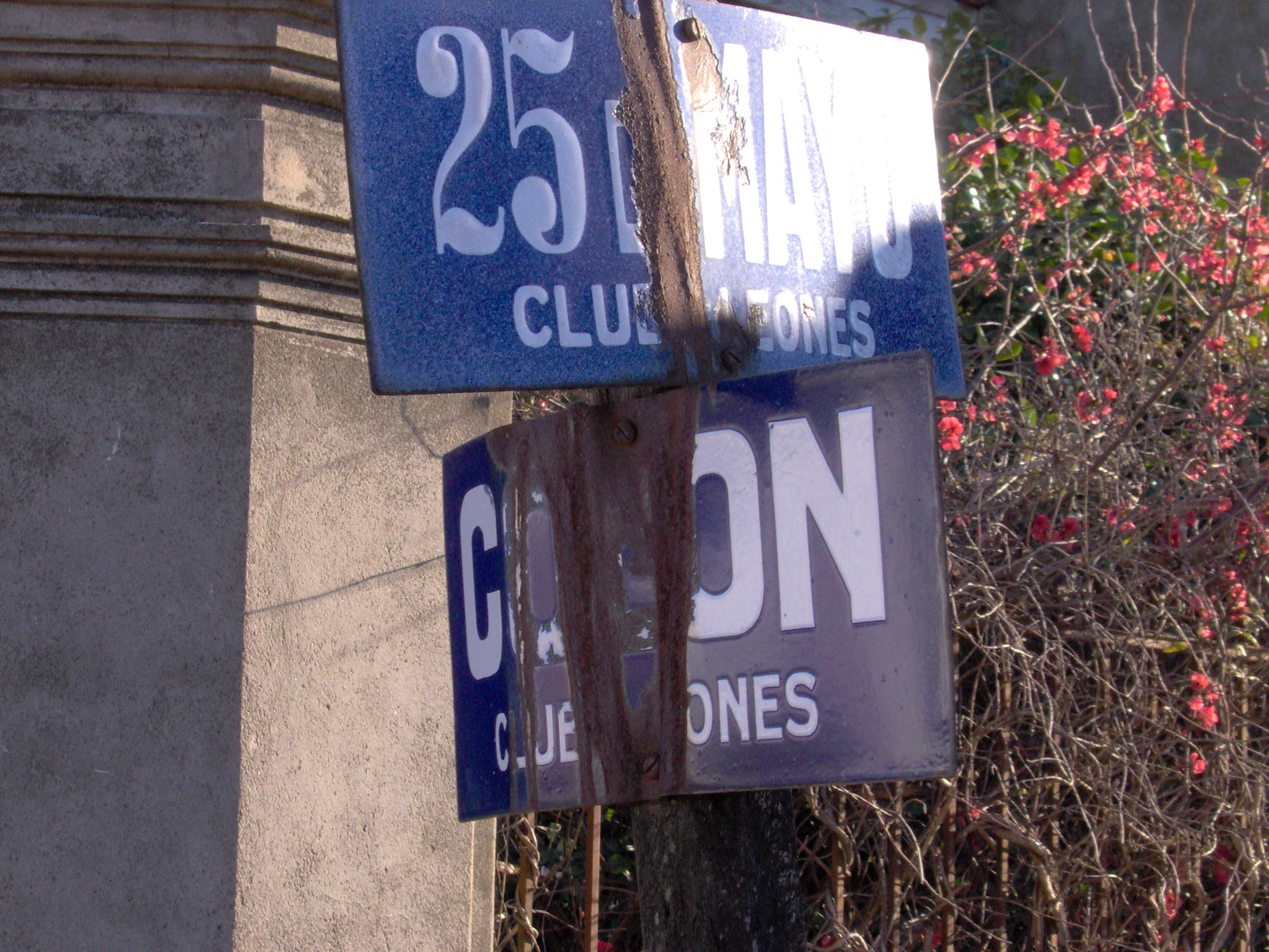 club leones carhue 