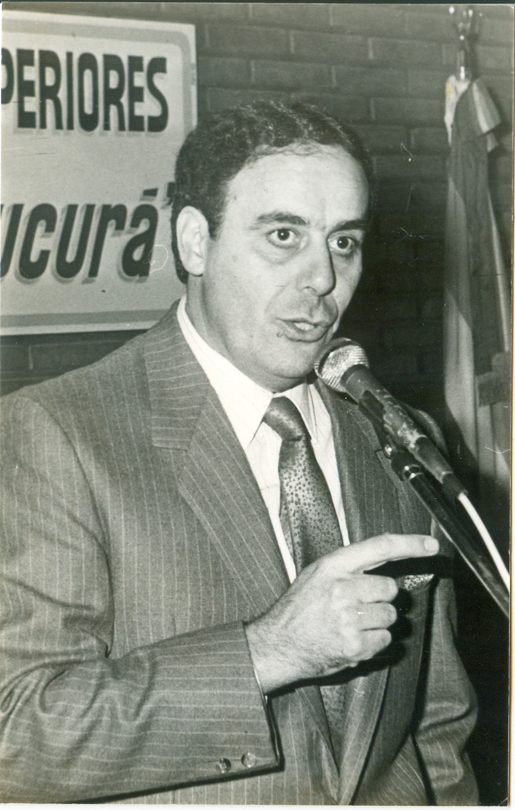 DIPUTADOS SENADORES DE ADOLFO ALSINA 