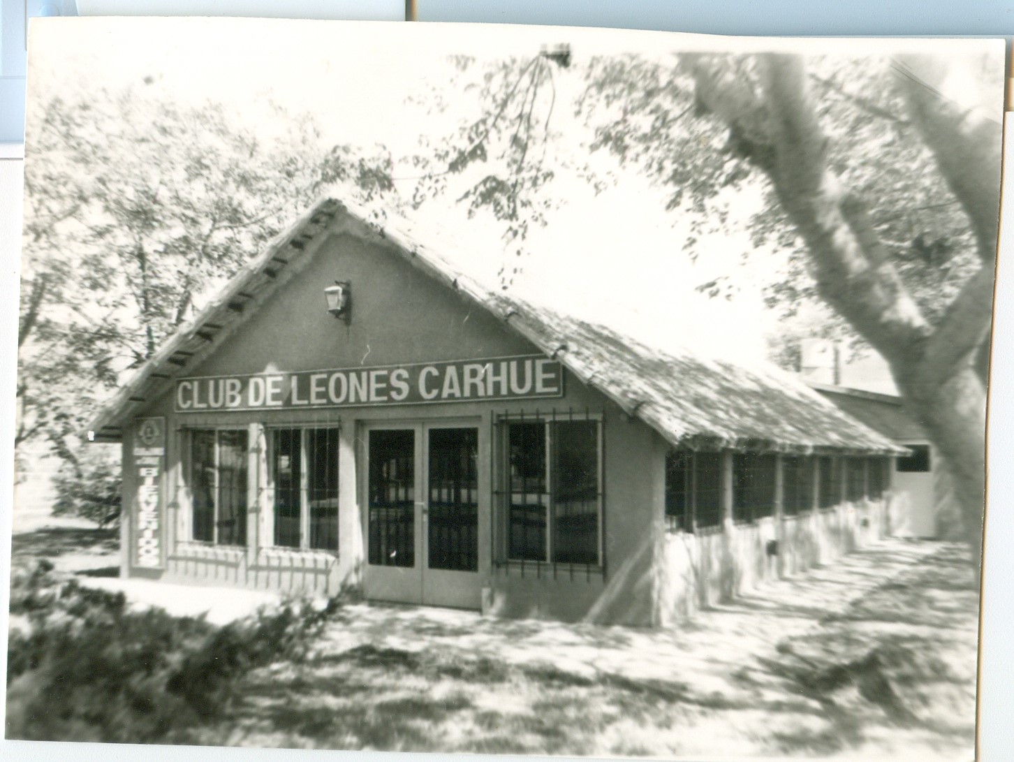 club leones carhue quincho