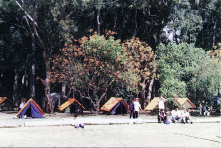 vivero sayle etchegaray chacra experimental carhue camping