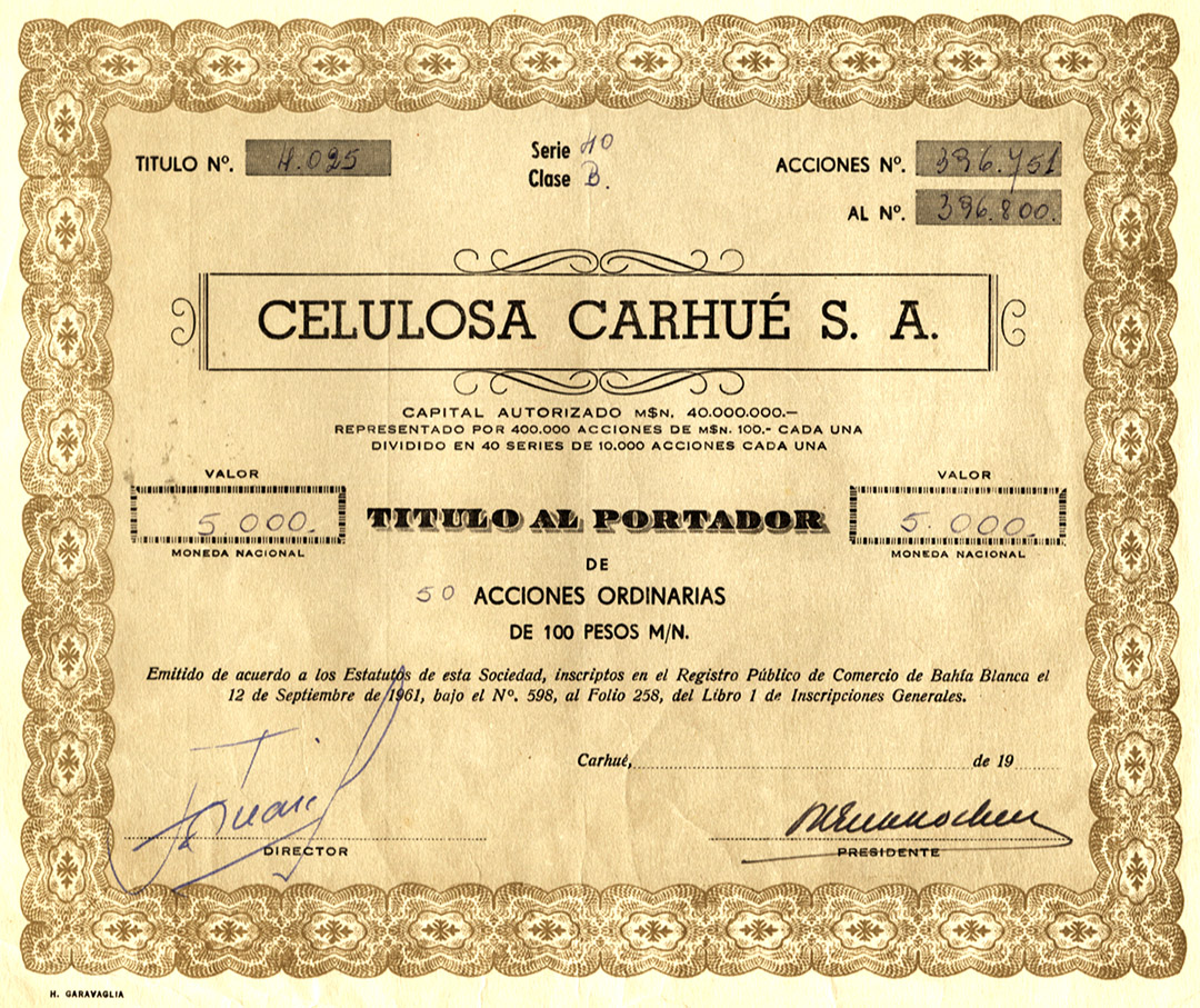 CELULOSA CARHUE