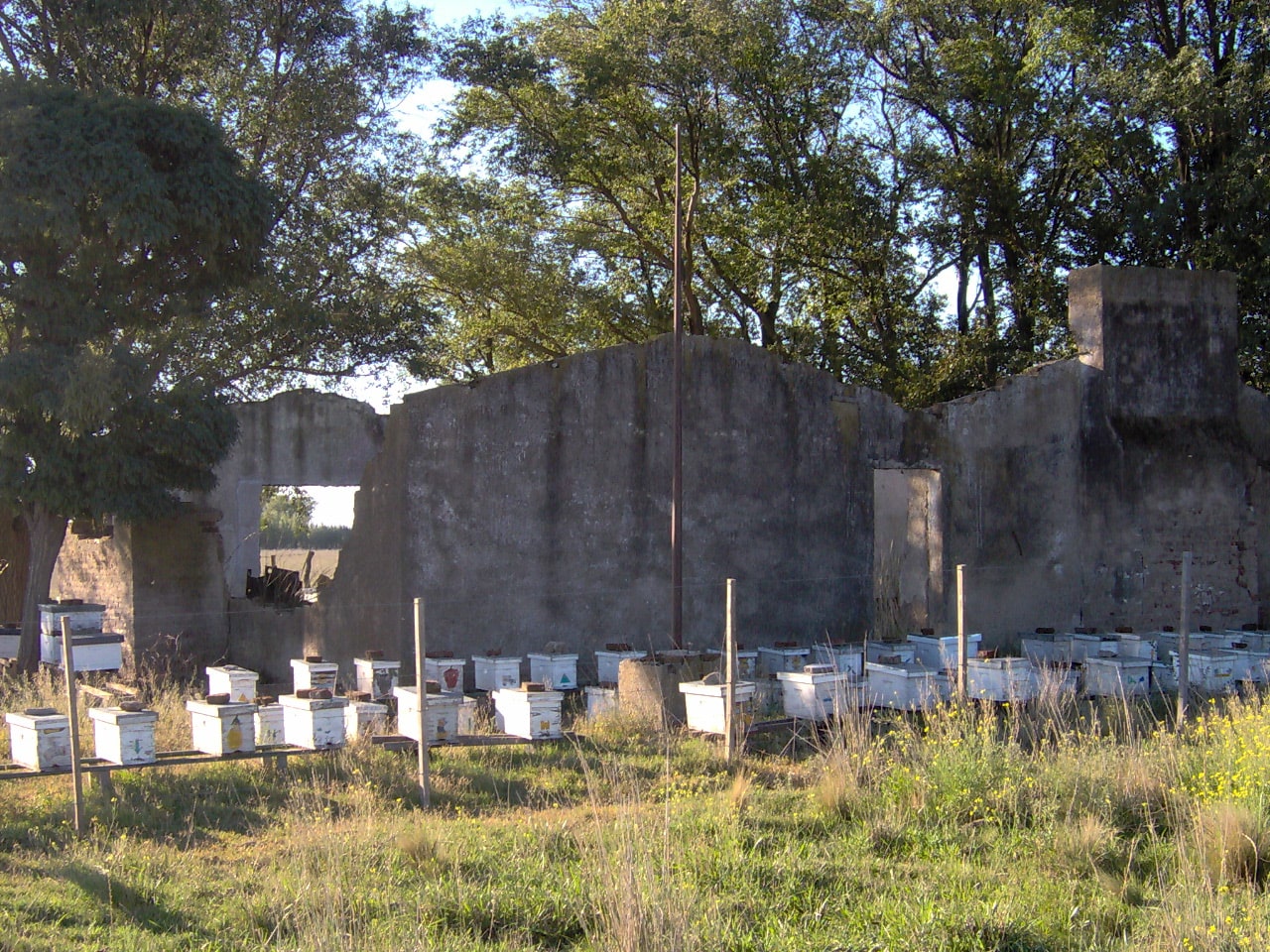 Club de pesca