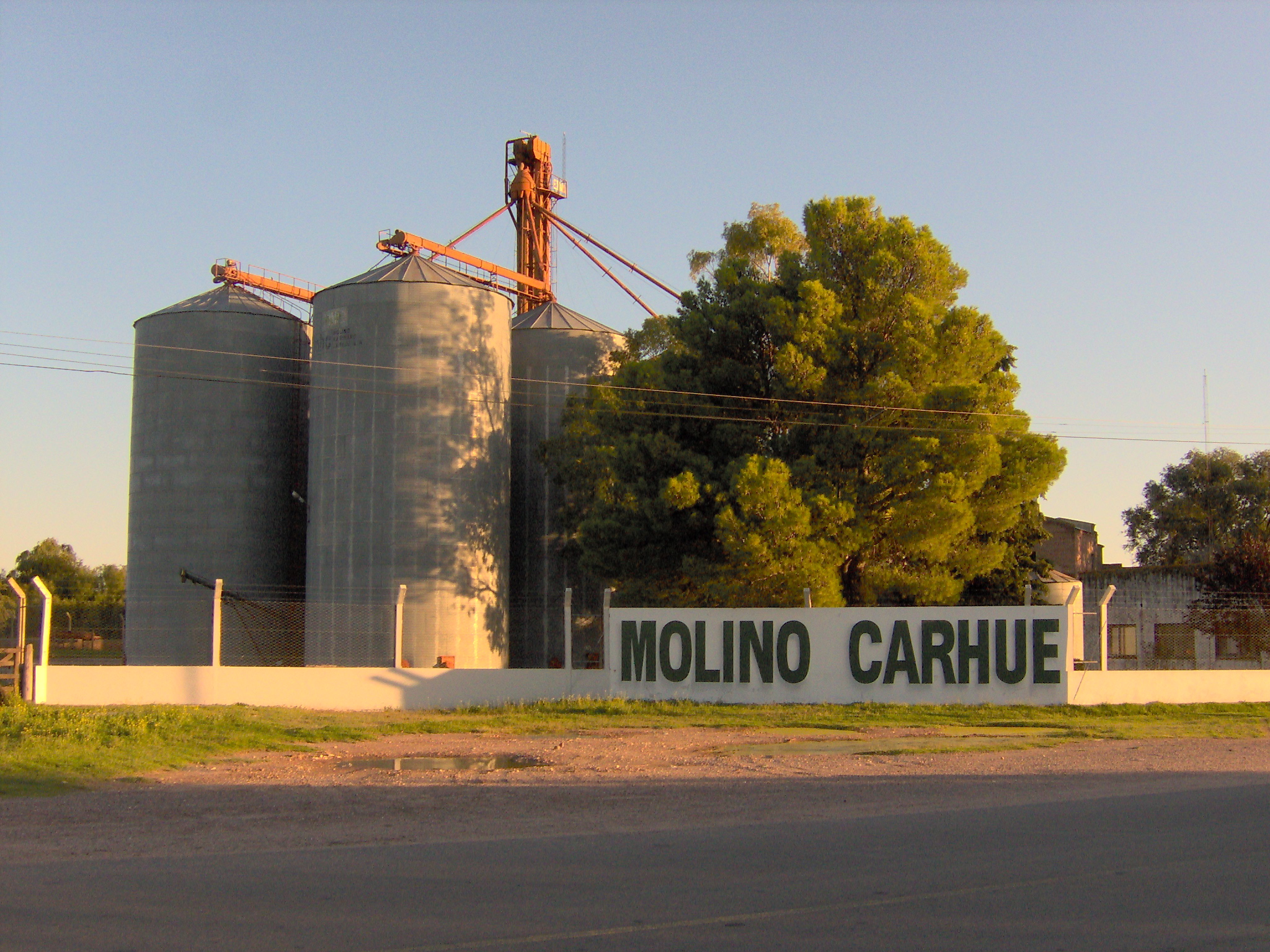 molino harinero carhue incendio marino