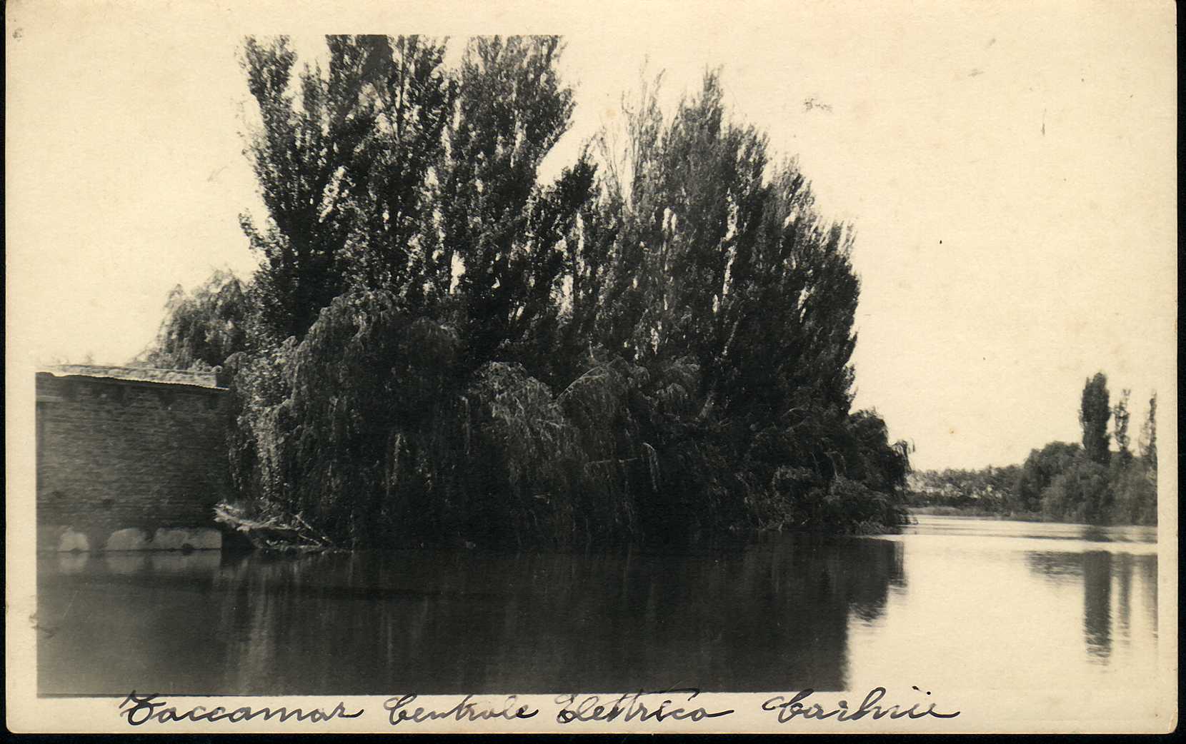 molino harinero carhue tajamar marino