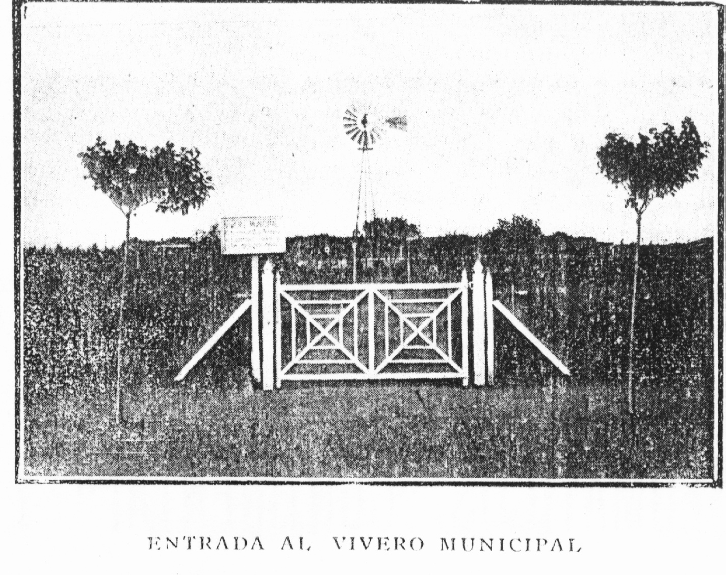VIVERO MUNICIPAL CARHUE