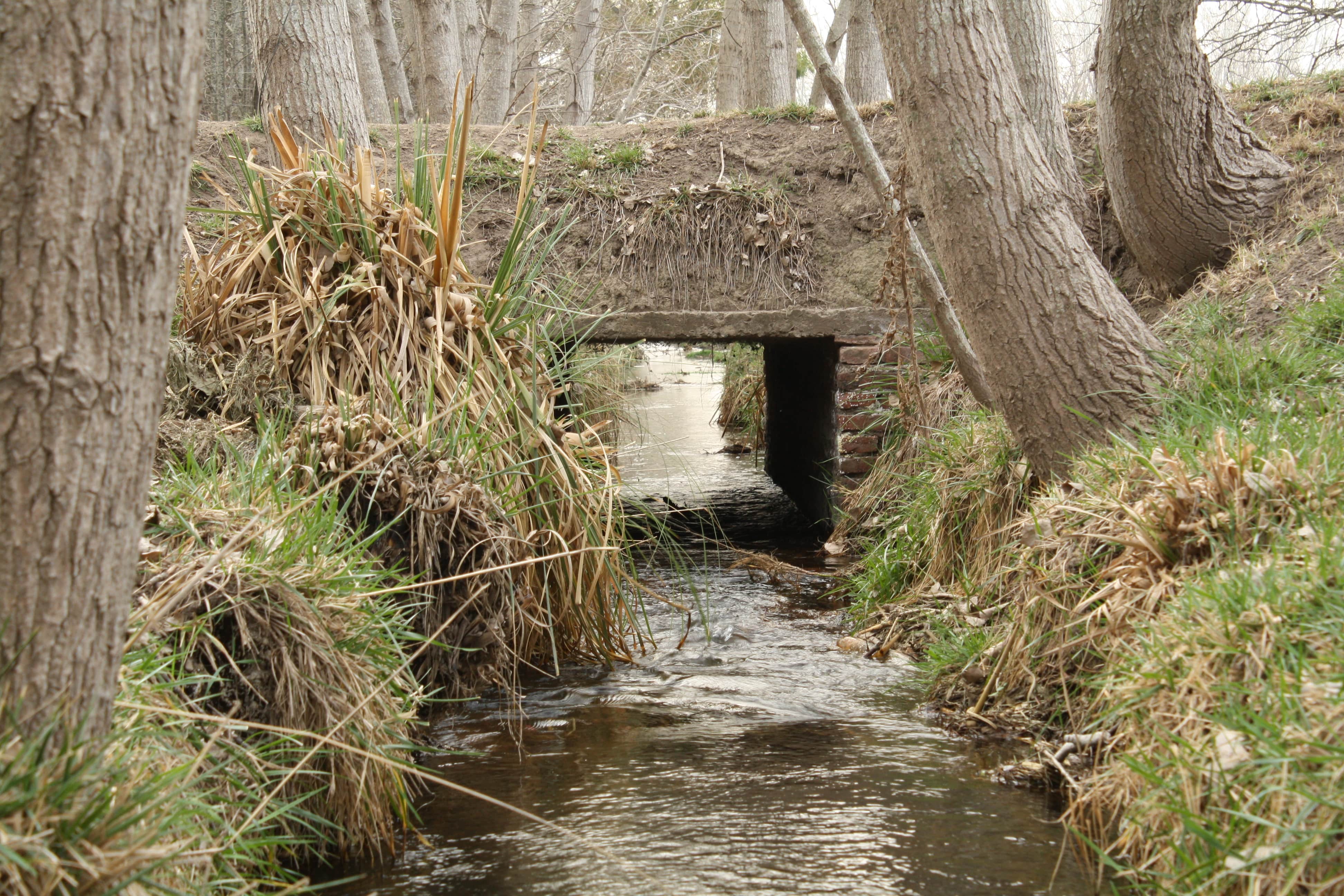 vivero sayle etchegaray chacra experimental carhue camping