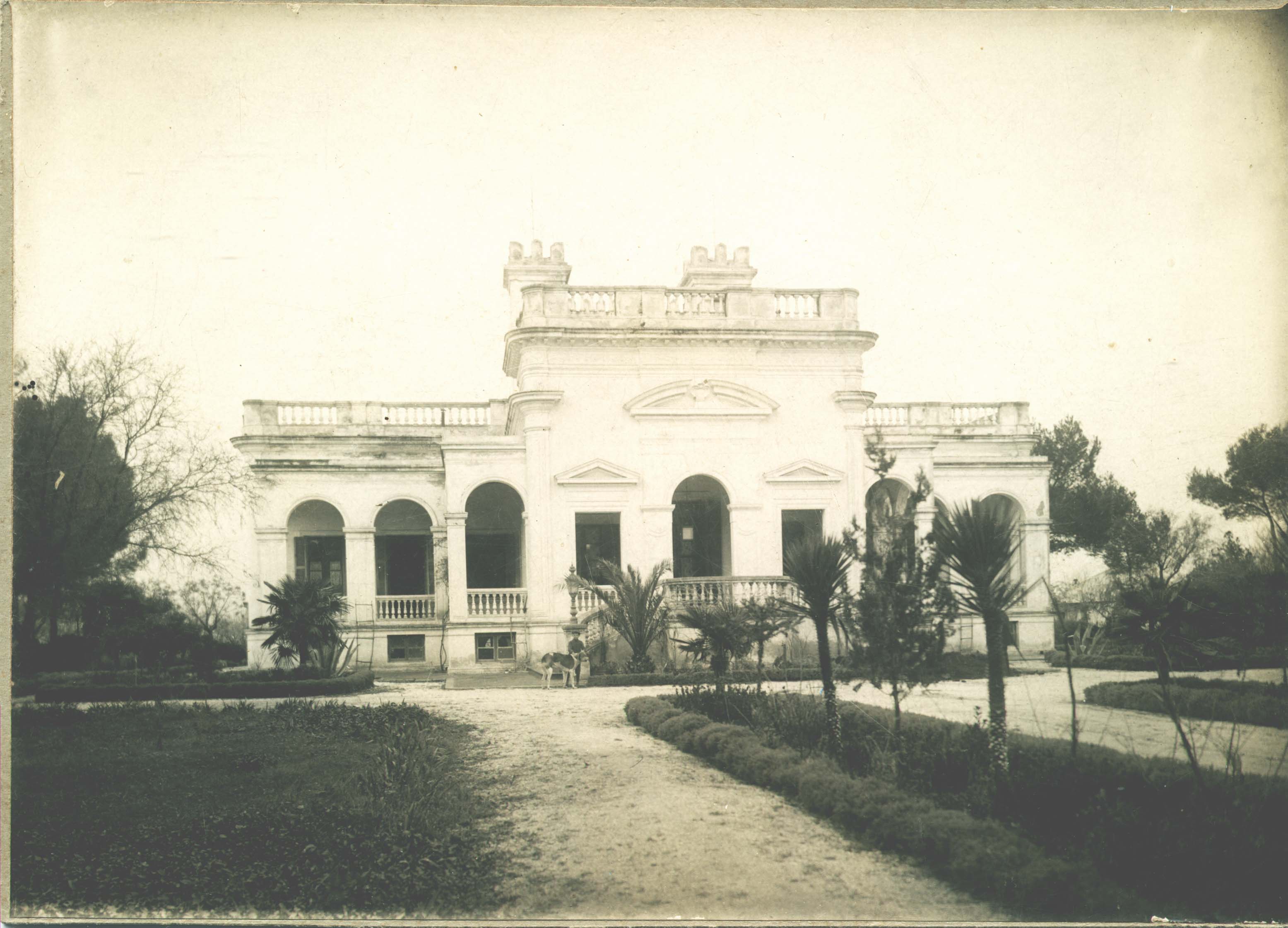 PALACIO DE GALLO LEVALLE CARHUE