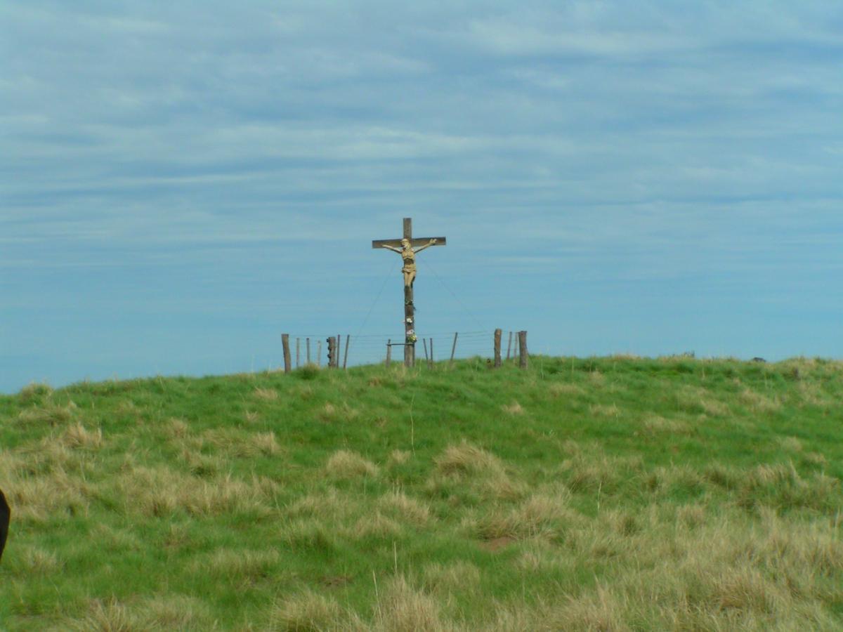 cristo salamone alsina medano arano