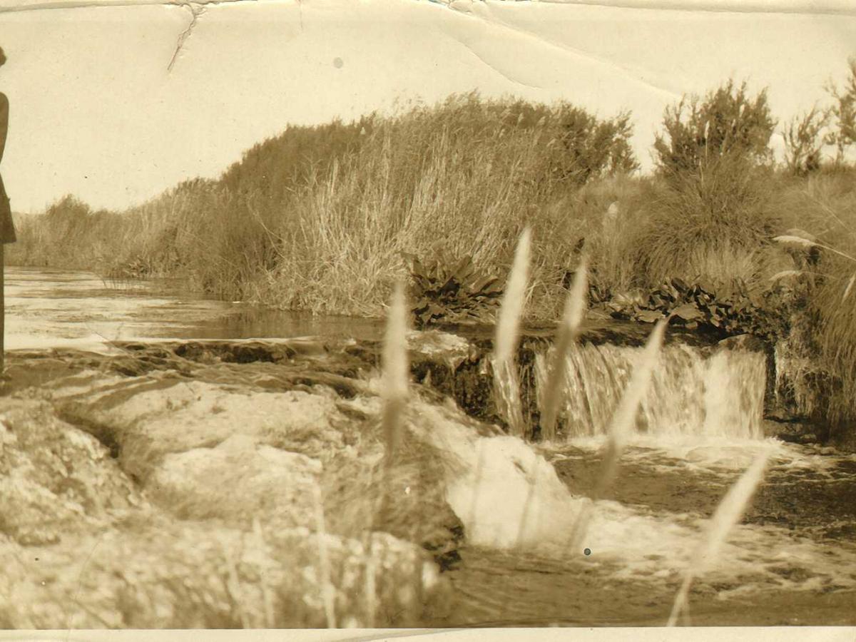 ARROYO PIGUE ACEQUIAS QUINTAS CARHUE SEQUIA