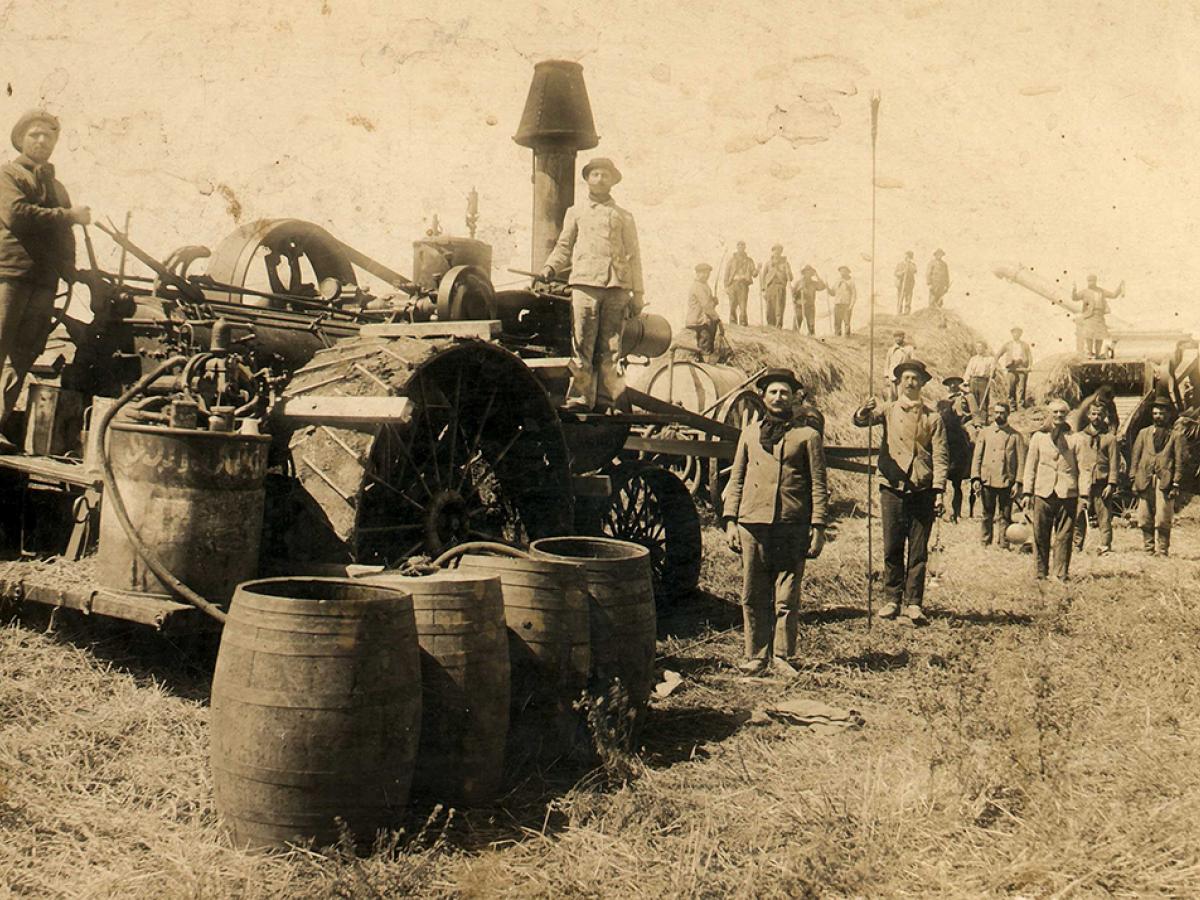 TRILLADORA ROBILOTTE