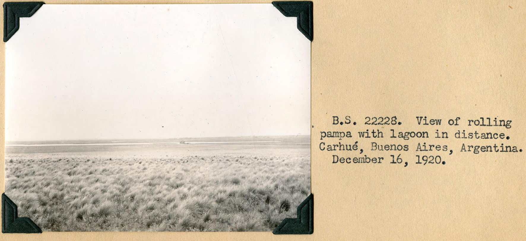 WETMORE ARGENTINA carhue 1920 
